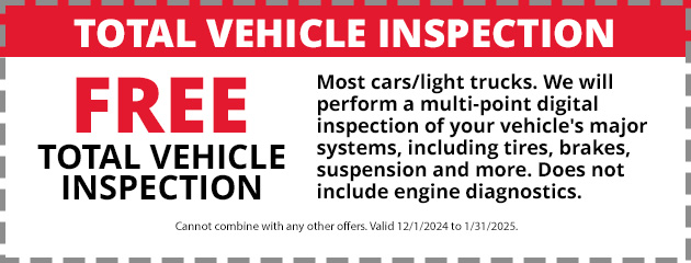 Total Vehicle Inspection